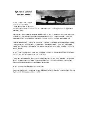 A preview of a PDF biography for Callanan, James